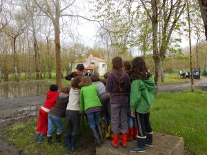 Organiser une classe verte