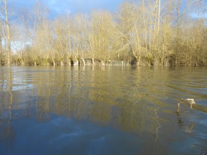 Le Marais Poitevin