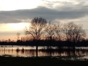 crepuscule marais la frenaie